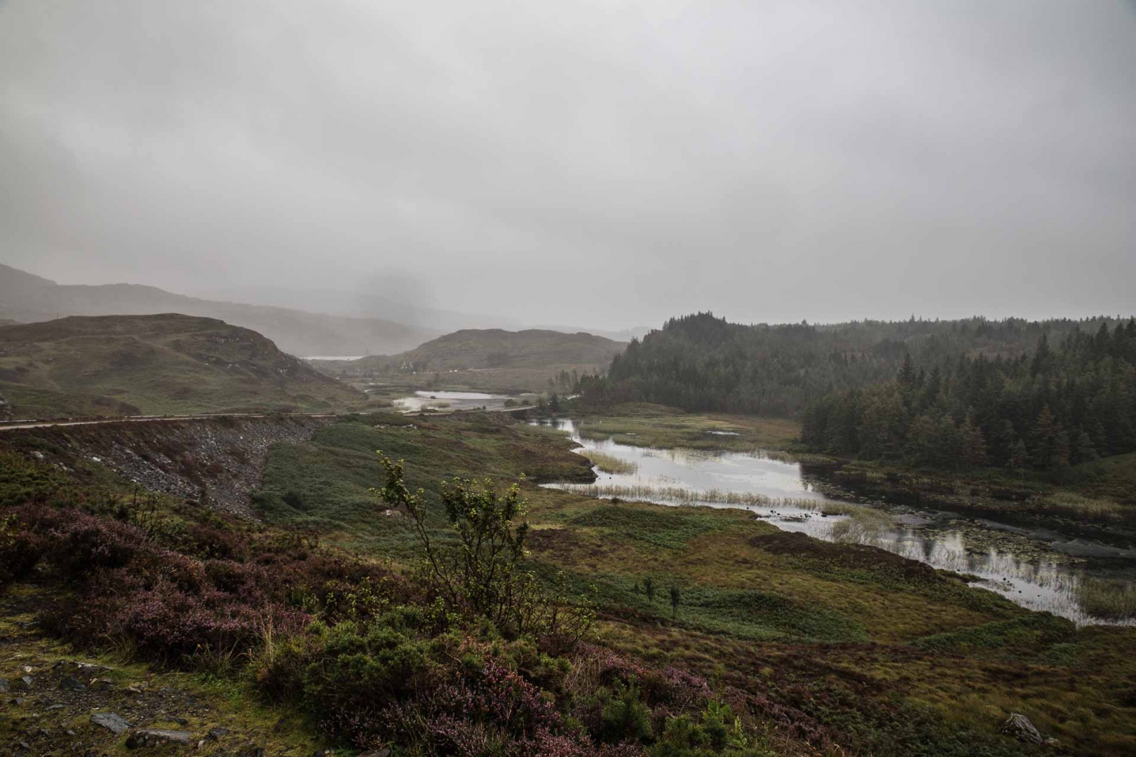 In zoommber 4 septembre | 13h31