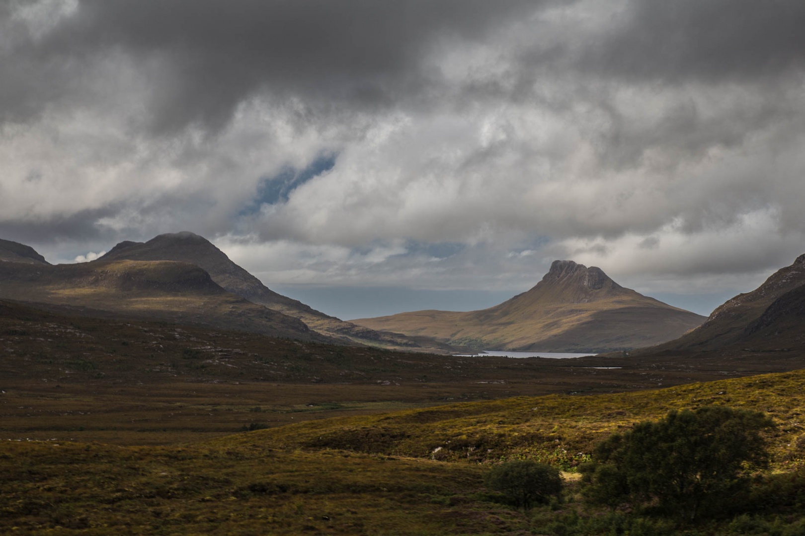 In zoommber 4 septembre | 15h29