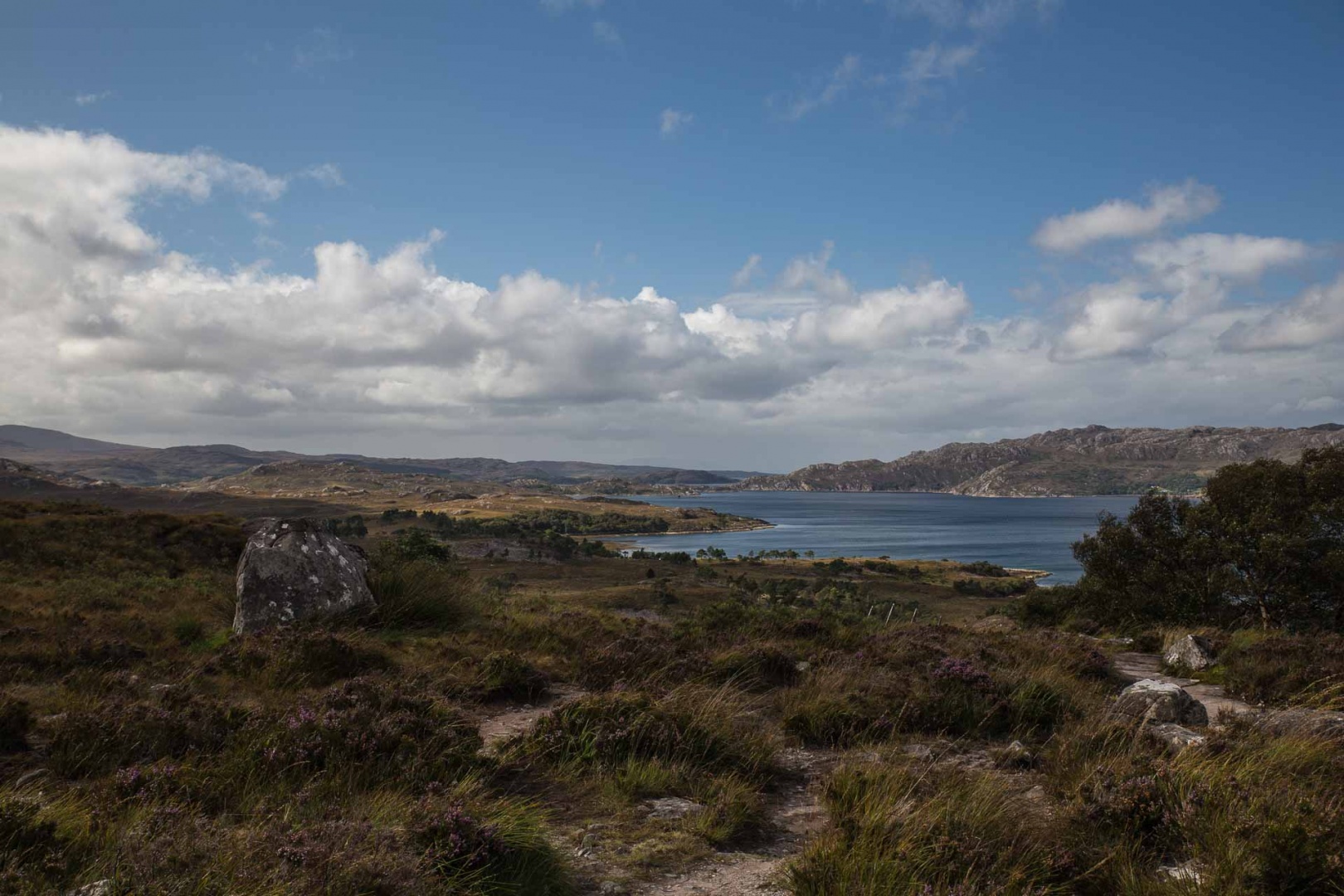 In zoommber 5 septembre | 14h44