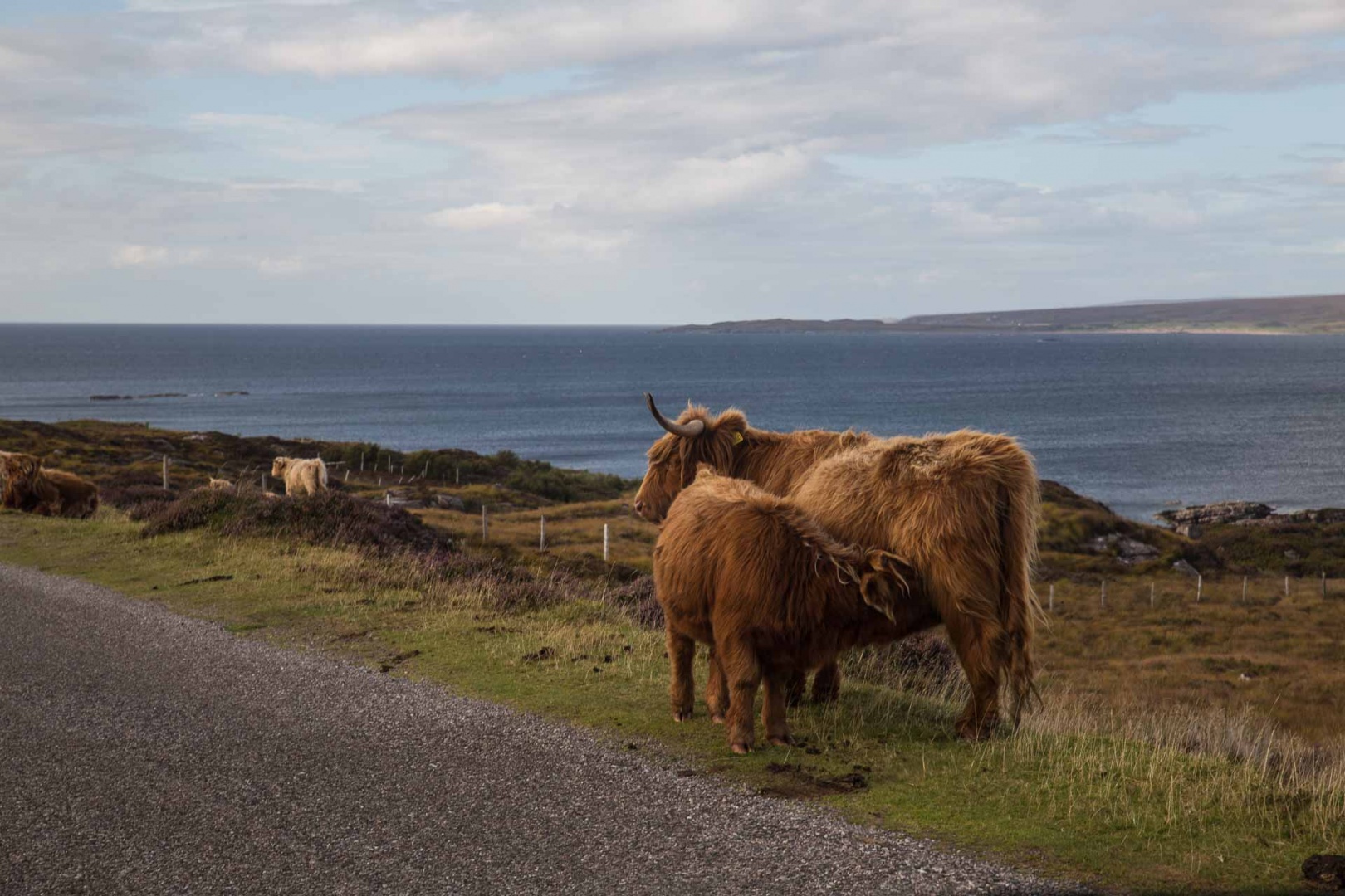 In zoommber 5 septembre | 17h11