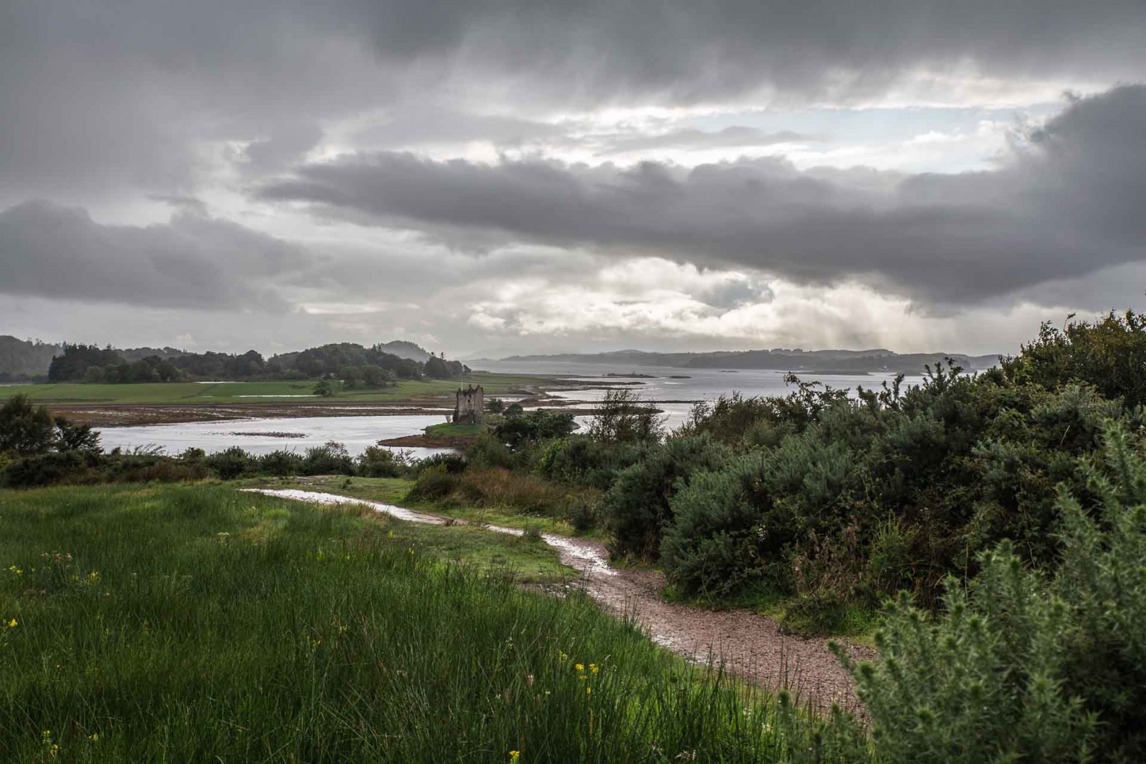 In zoomember 10 septembre | 16h20