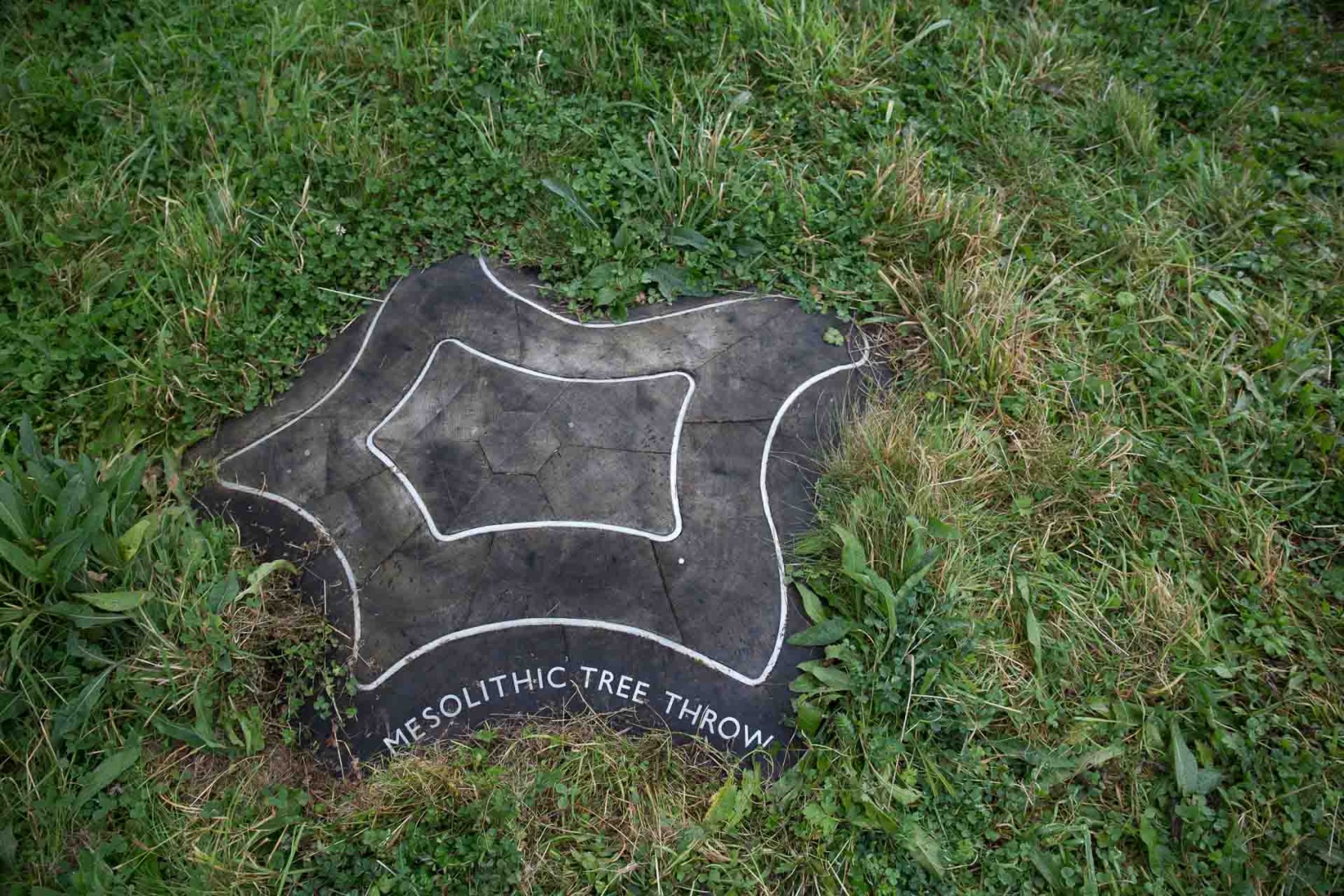 Zbliżenieopad 11 novembre | 8h13