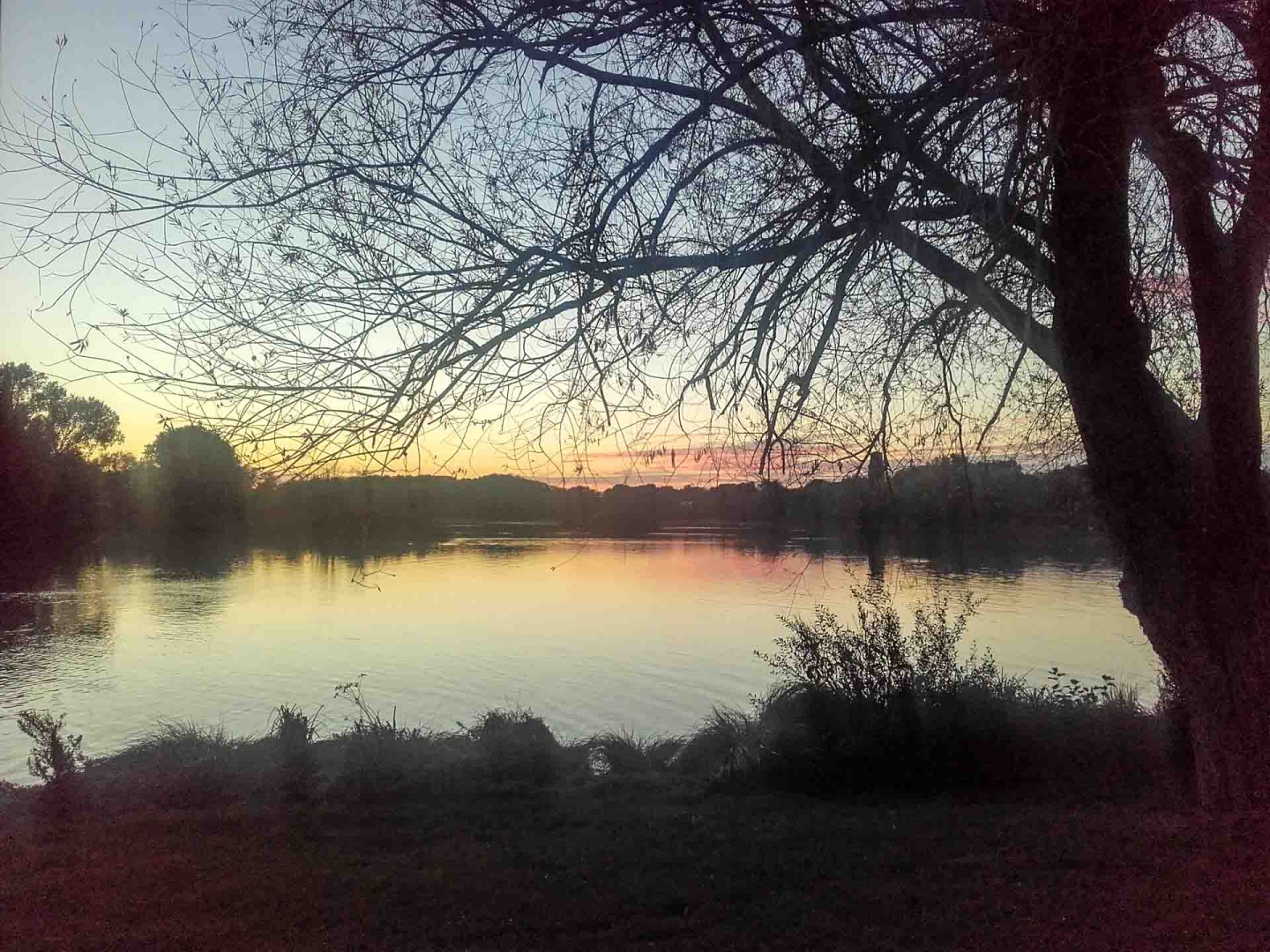 Zoom in 13 octobre | 19h05