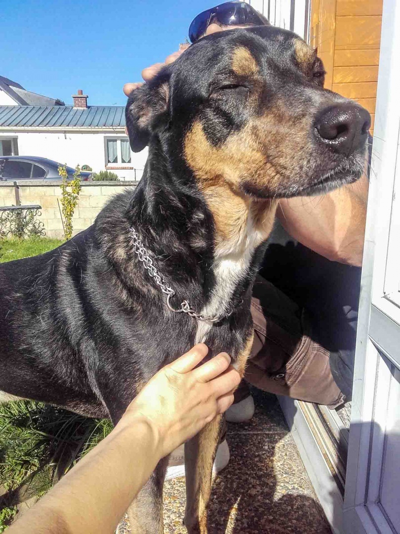 Zoom in 14 octobre | 12h41