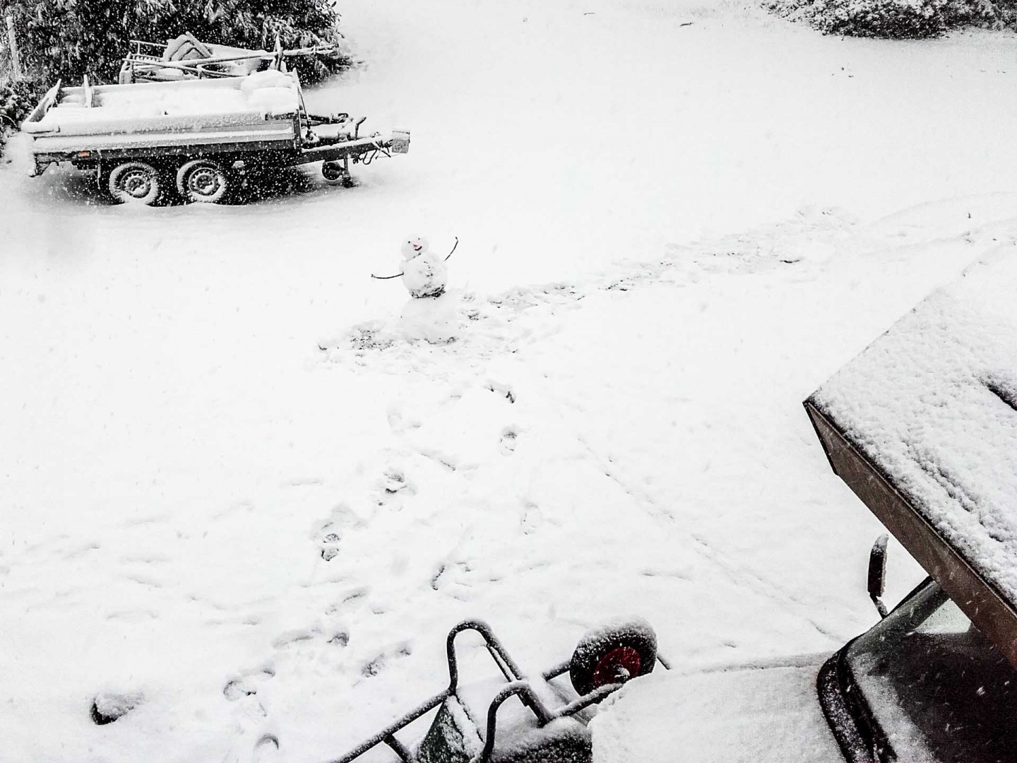 Zoom in 10 décembre | 14h39