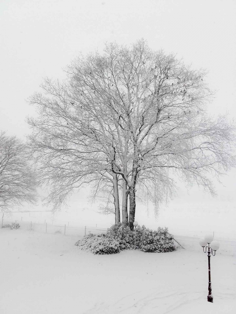 Zoom in 10 décembre | 14h49