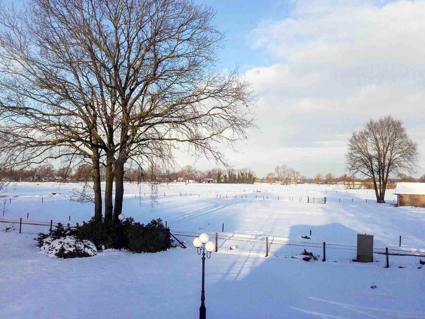 Zoom in 12 décembre | 9h51