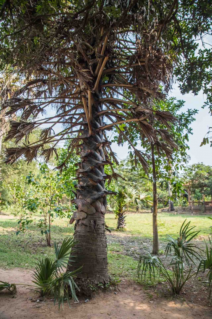 In zoomary 31 janvier 2018 | 16h06