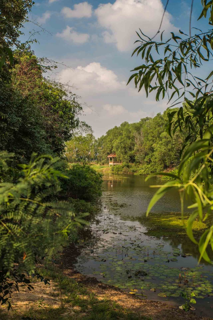 In zoomary 31 janvier 2018 | 16h18