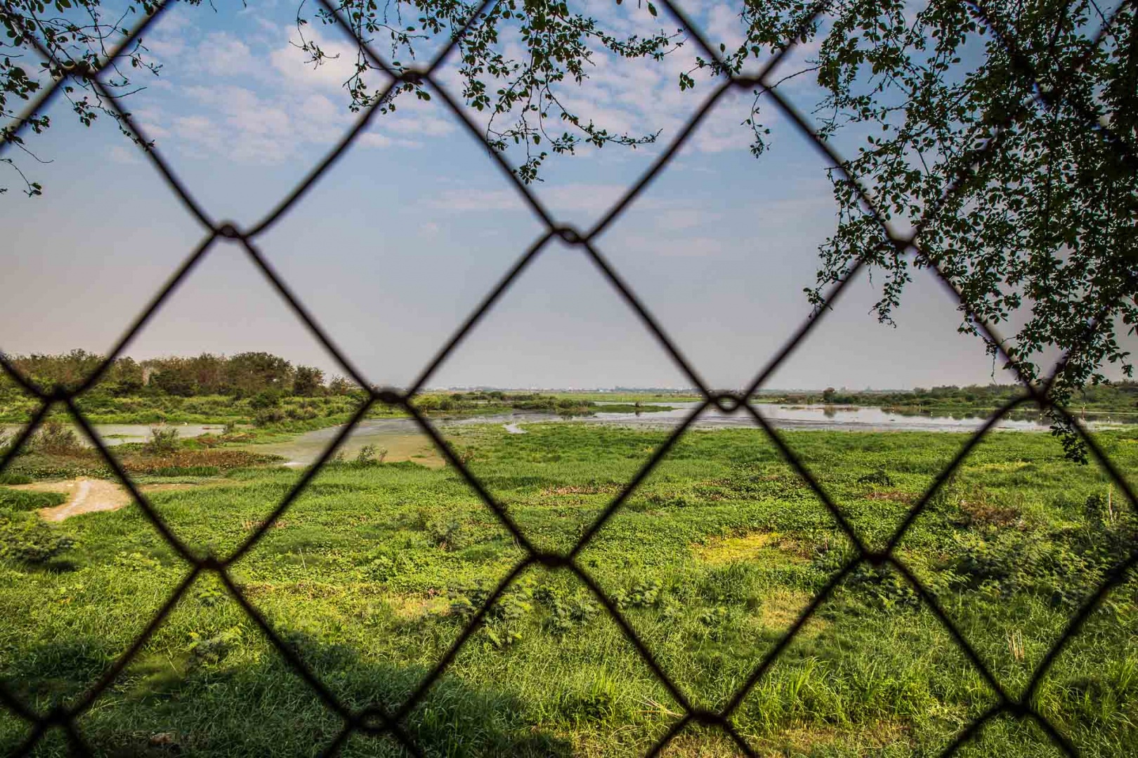 In zoomary 31 janvier 2018 | 16h21