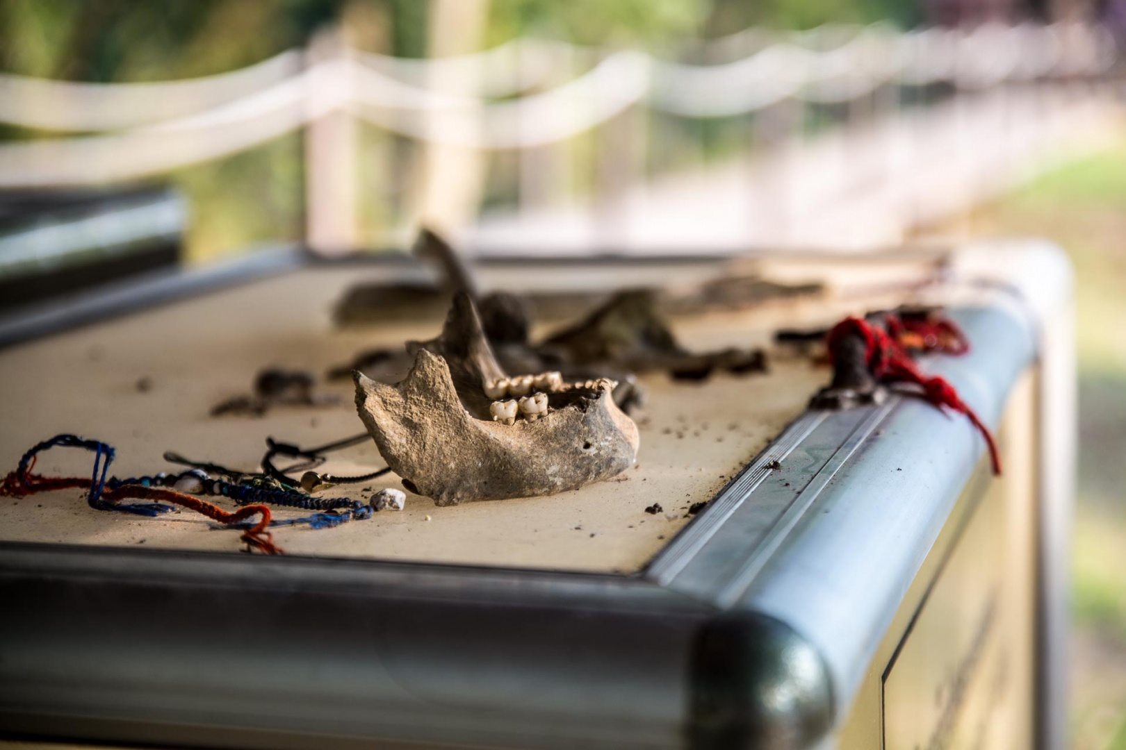 In zoomary 31 janvier 2018 | 16h47