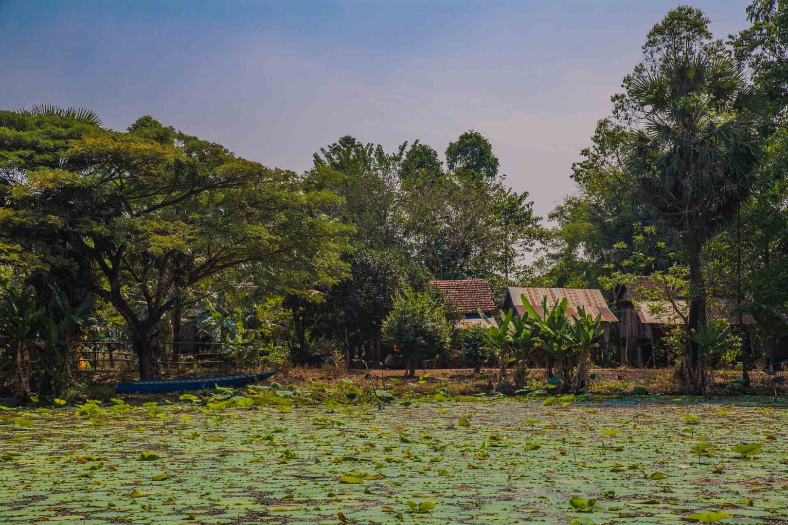 Zoom in 2 février 2018 | 13h43