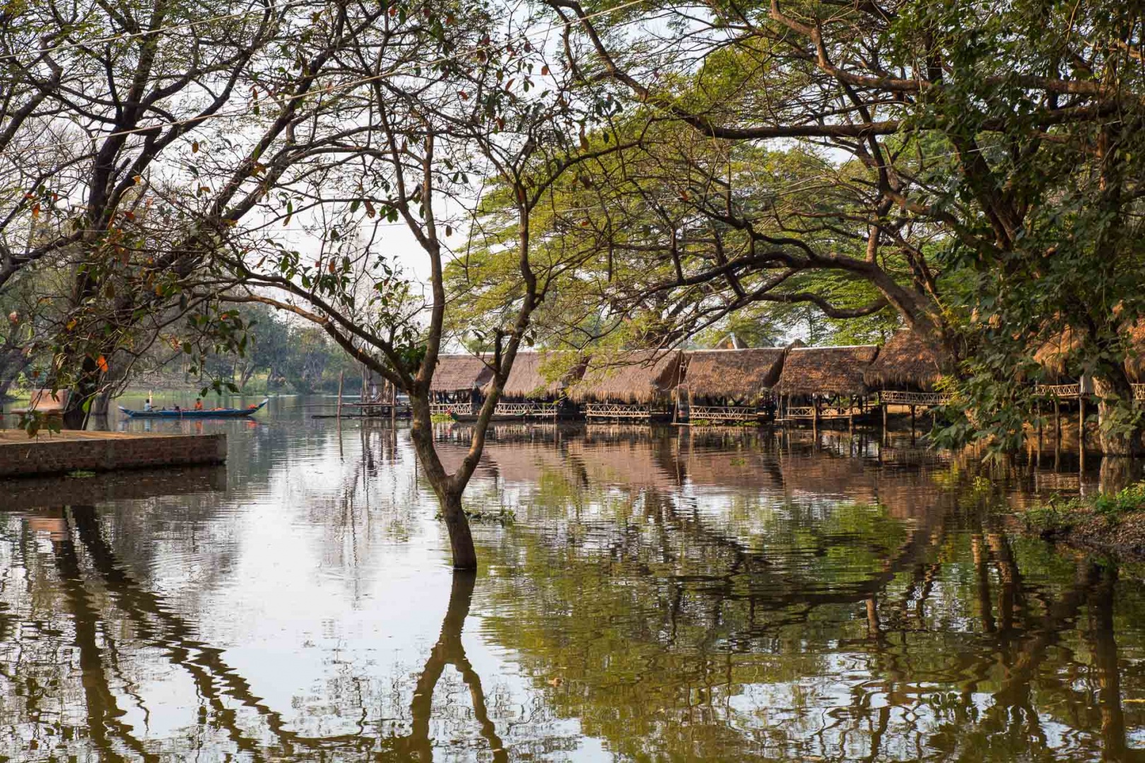 Zoom in 2 février 2018 | 15h58