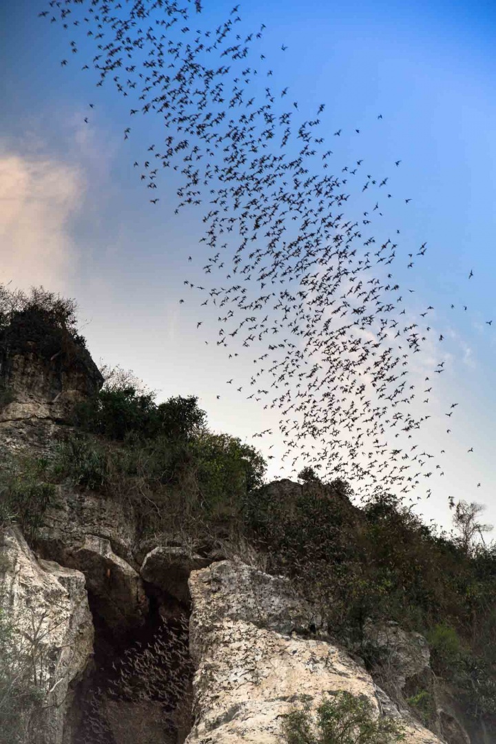 Zoom in 2 février 2018 | 18h04