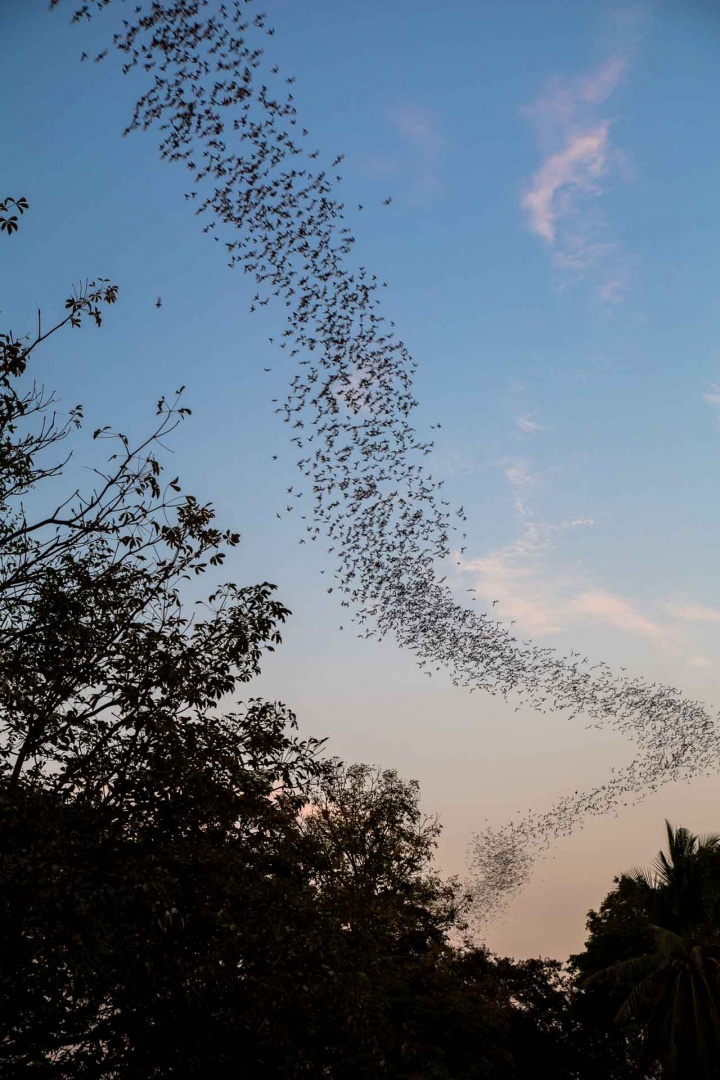 Zoom in 2 février 2018 | 18h05