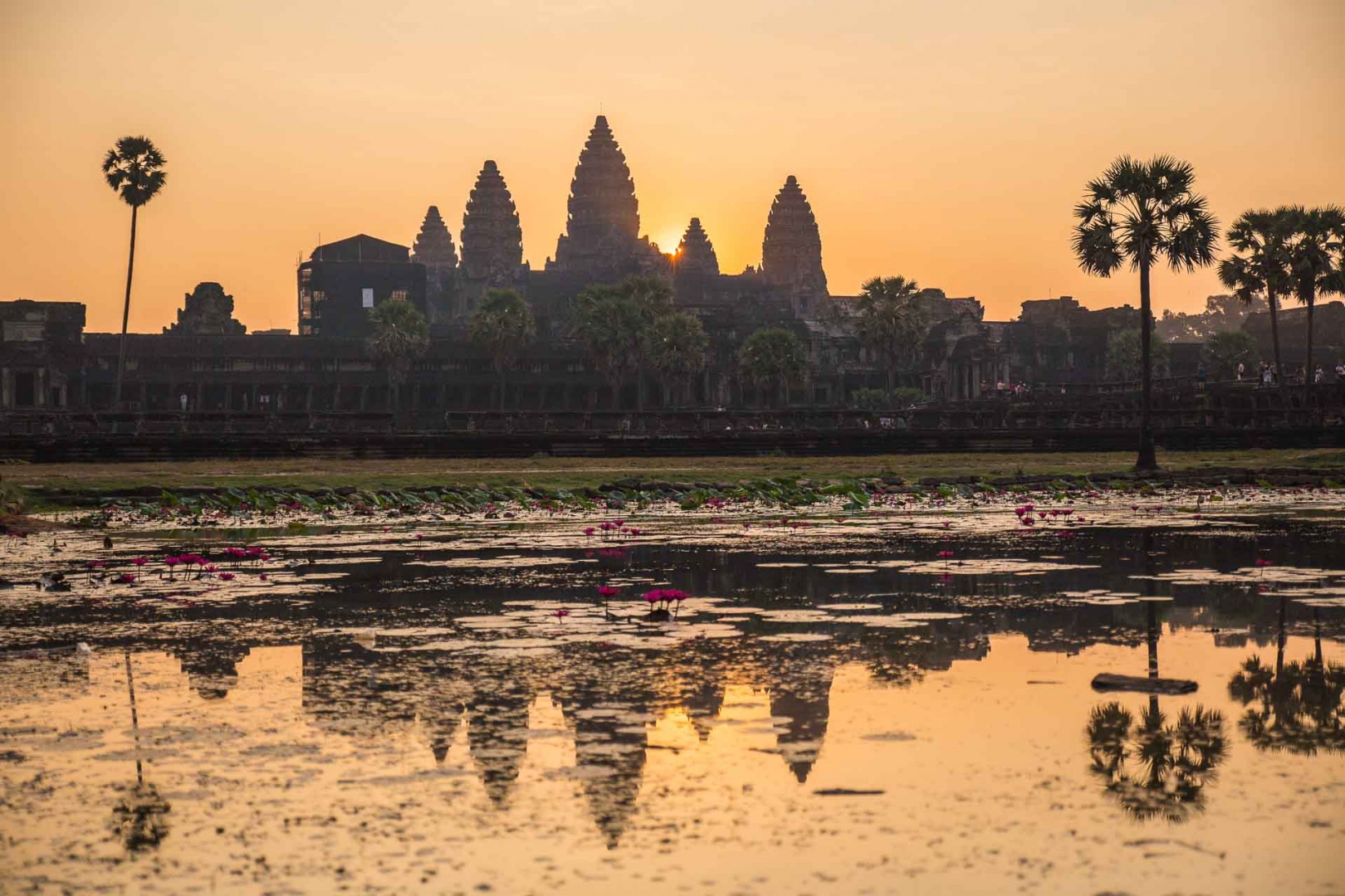 Im zoomar 5 février 2018 | 7h02