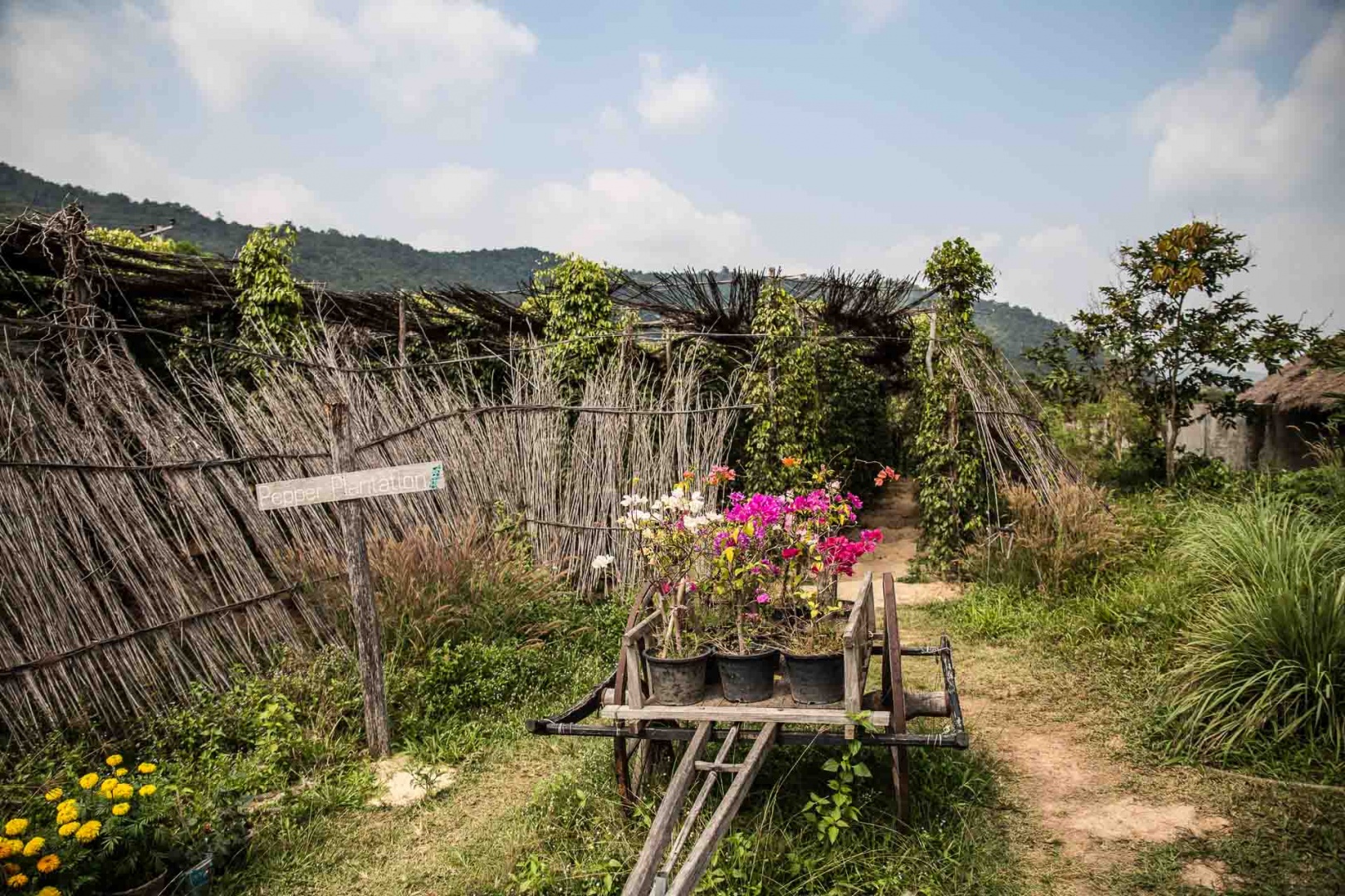 Zoom in 10 février 2018 | 14h01