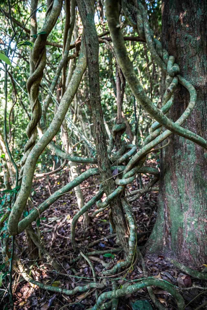 Zoom in 10 février 2018 | 15h33