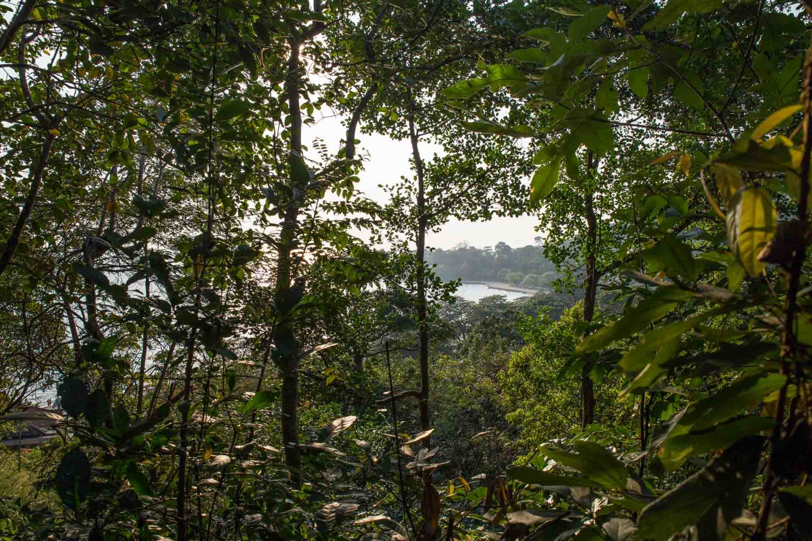 Zoom in 10 février 2018 | 16h43