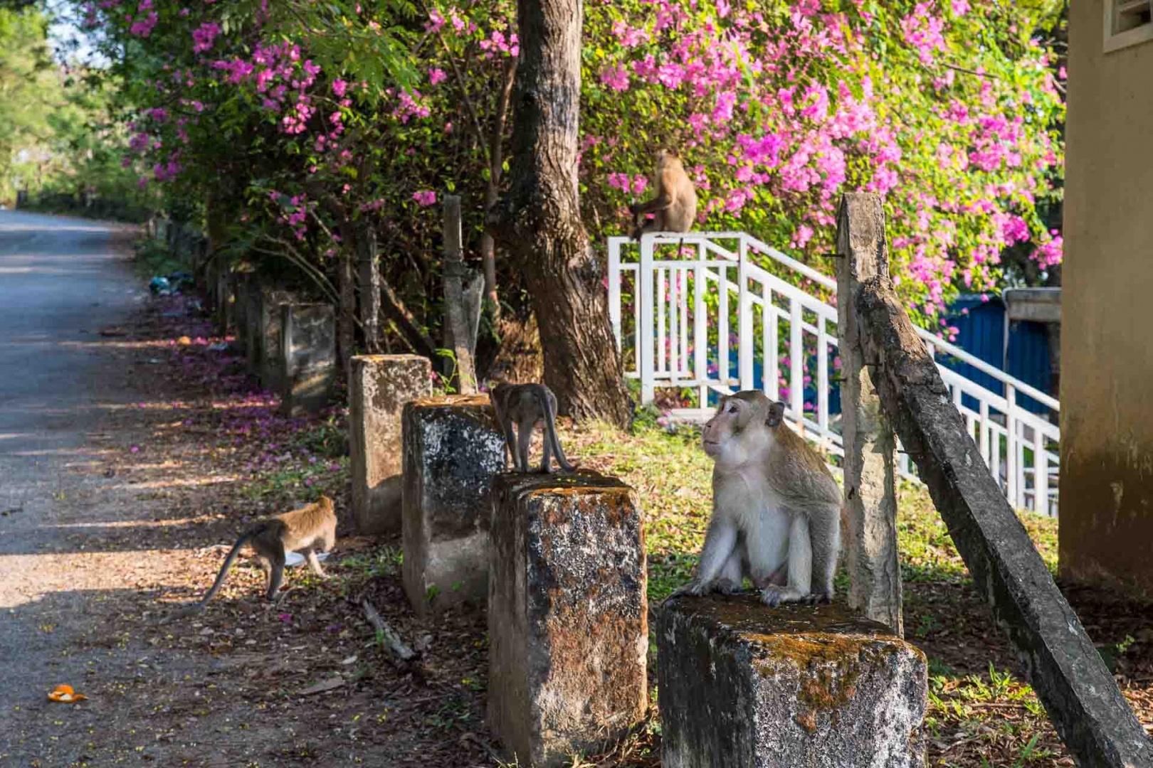 Zoom in 10 février 2018 | 16h46