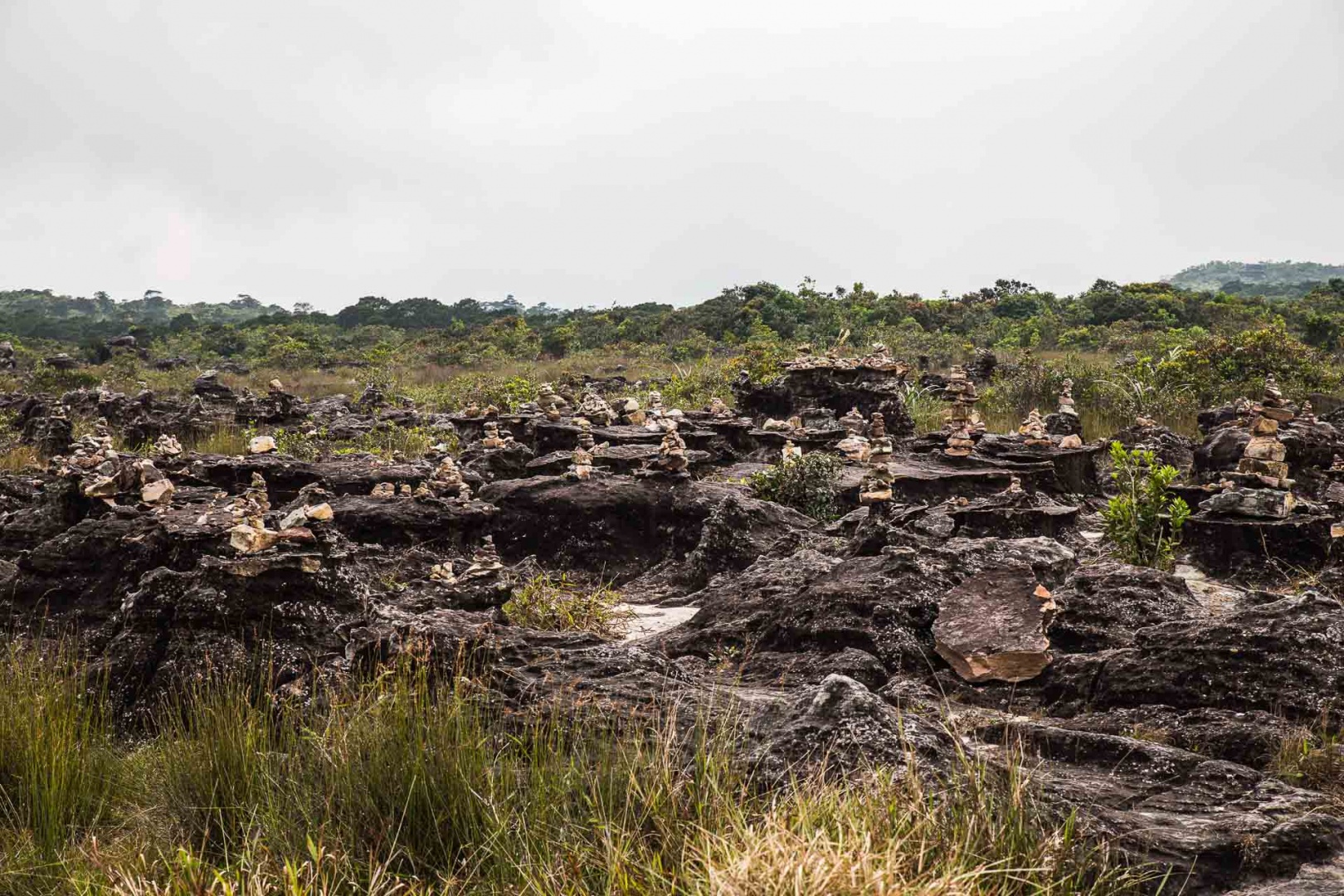 Im zoomuar 11 février 2018 | 12h39
