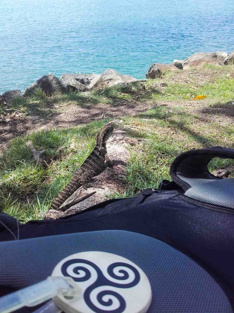 Zoom in 20 février 2018 | 11h24