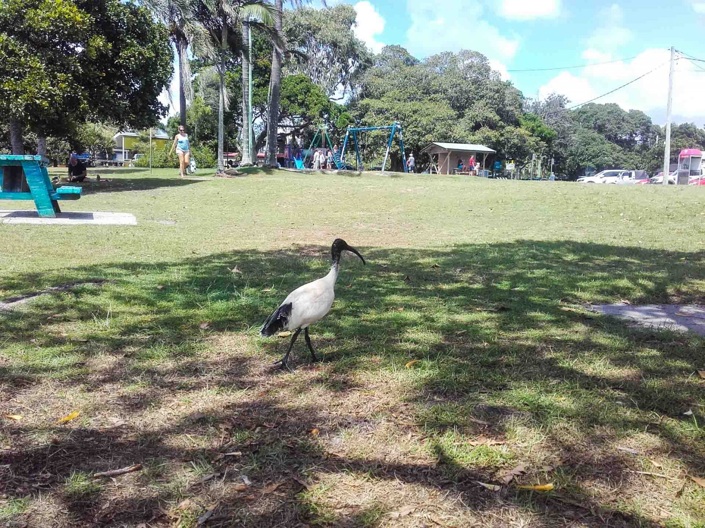 Zoom in 20 février 2018 | 11h30