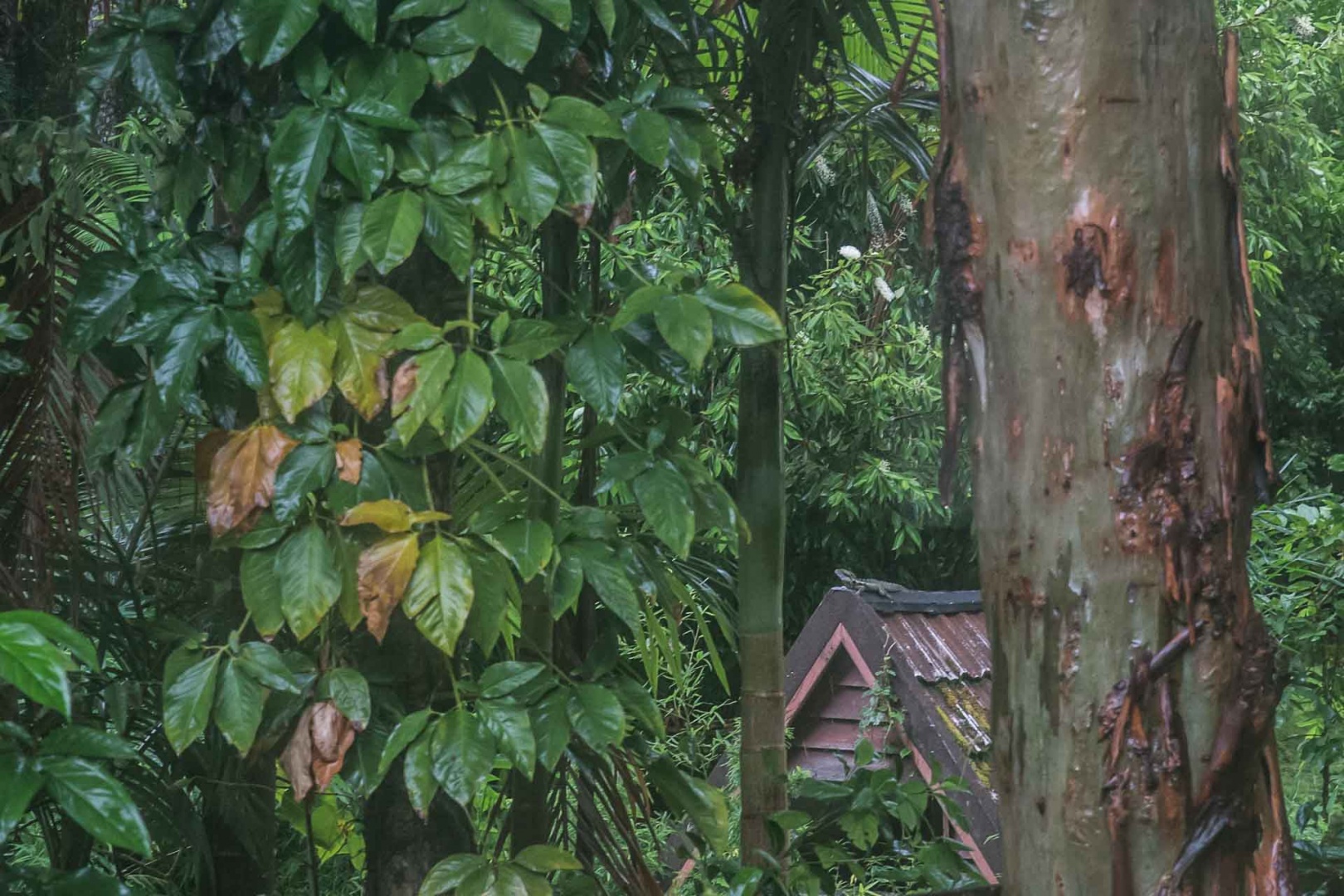 Zoom in 25 février 2018 | 7h39