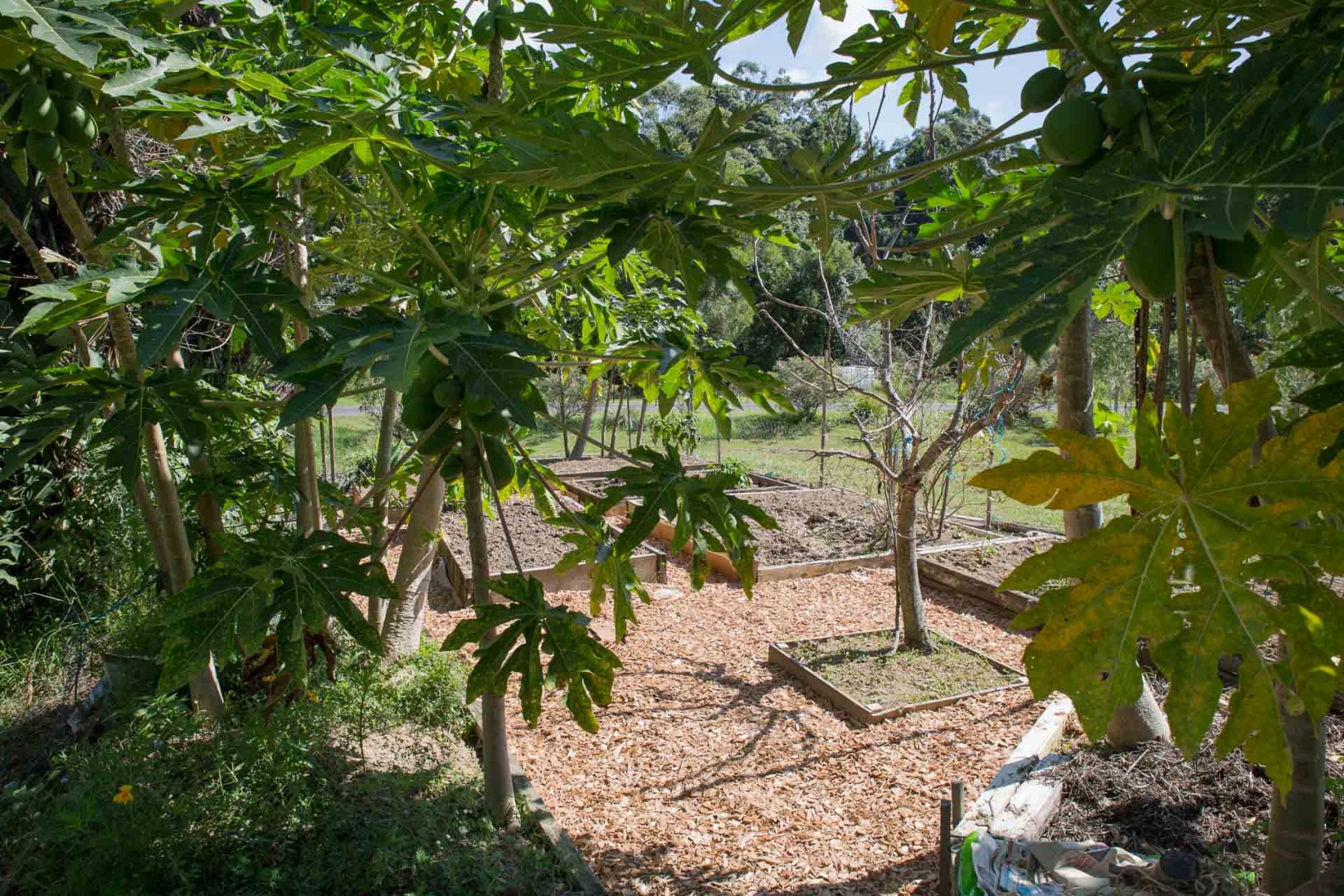 Zoom in 20 mars 2018 | 10h41