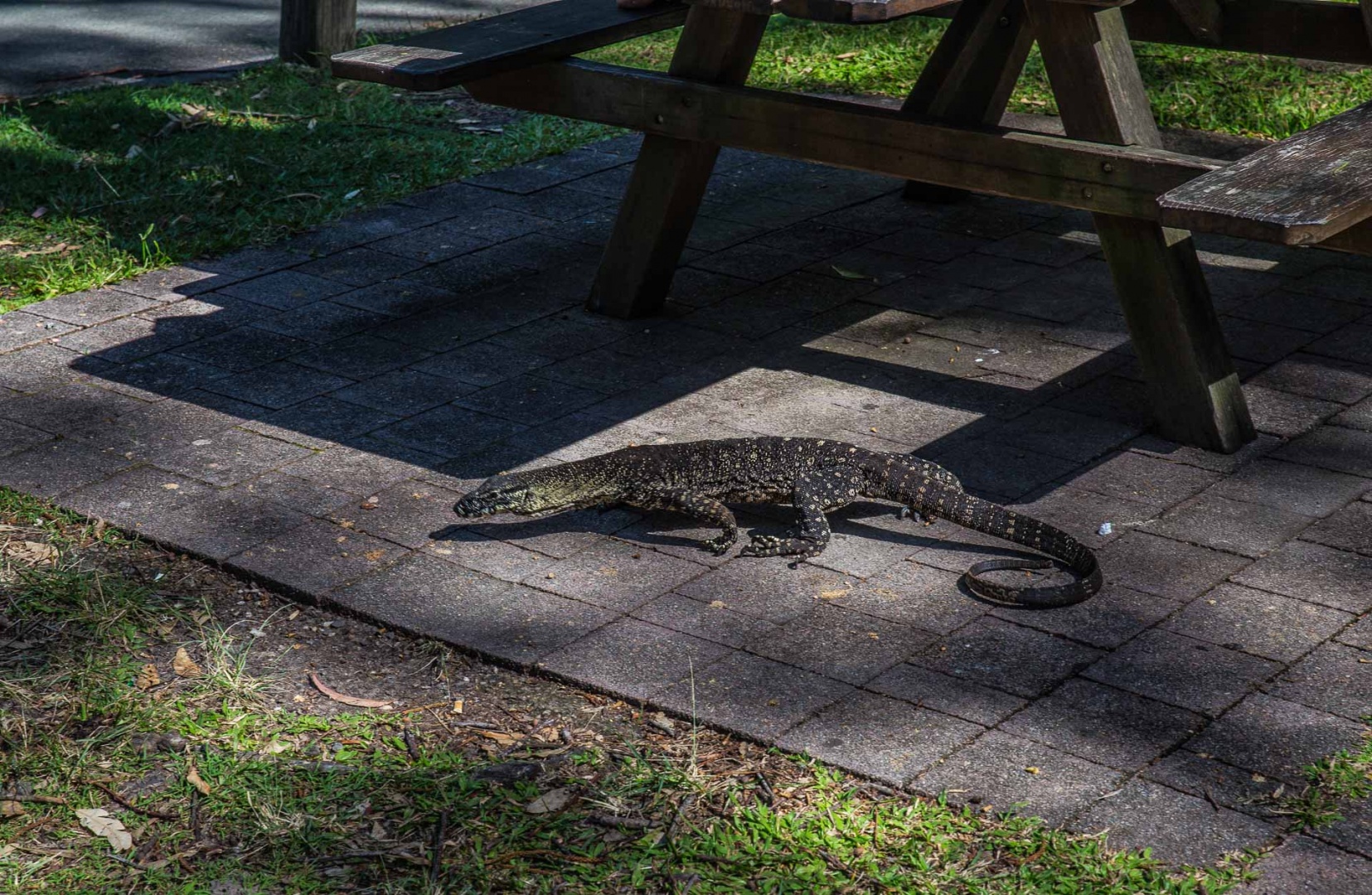 Zoom in 4 mai 2018 | 12h05