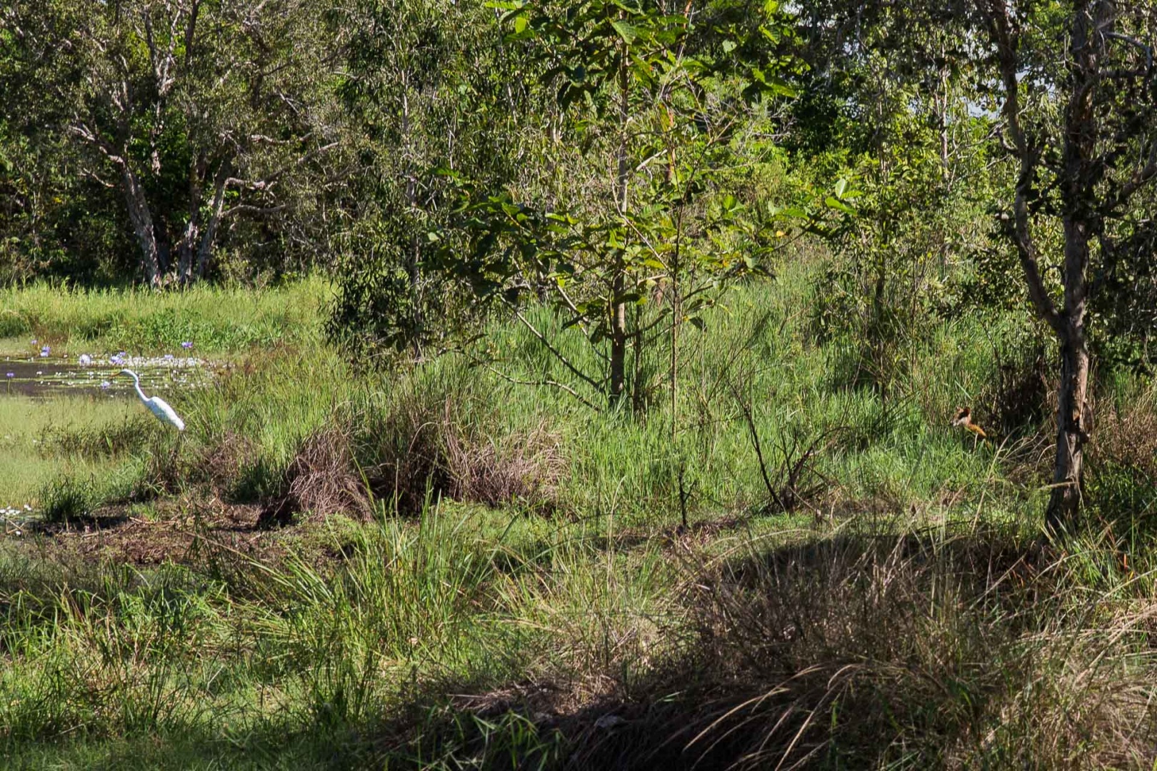 In zoomnh05 7 mai 2018 | 14h05