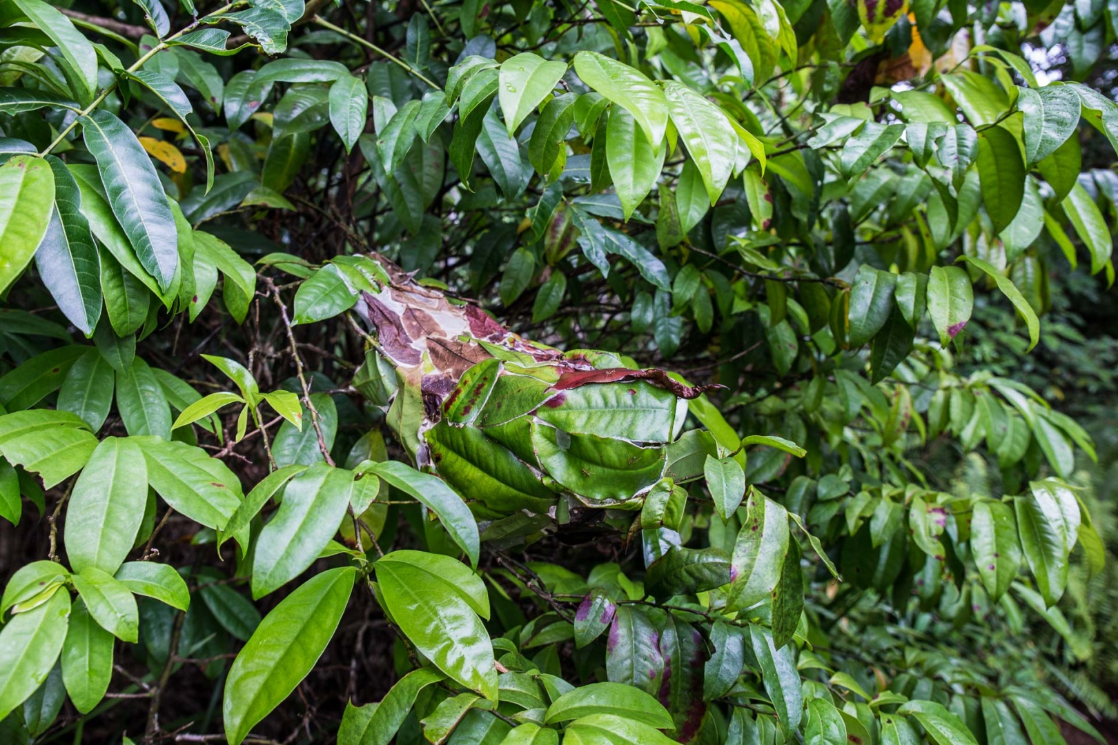 In zoomnh44 8 mai 2018 | 13h44