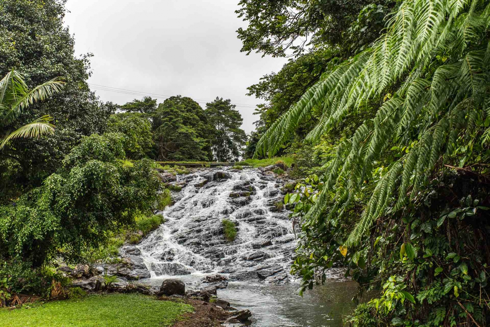 In zoomnh16 8 mai 2018 | 14h16