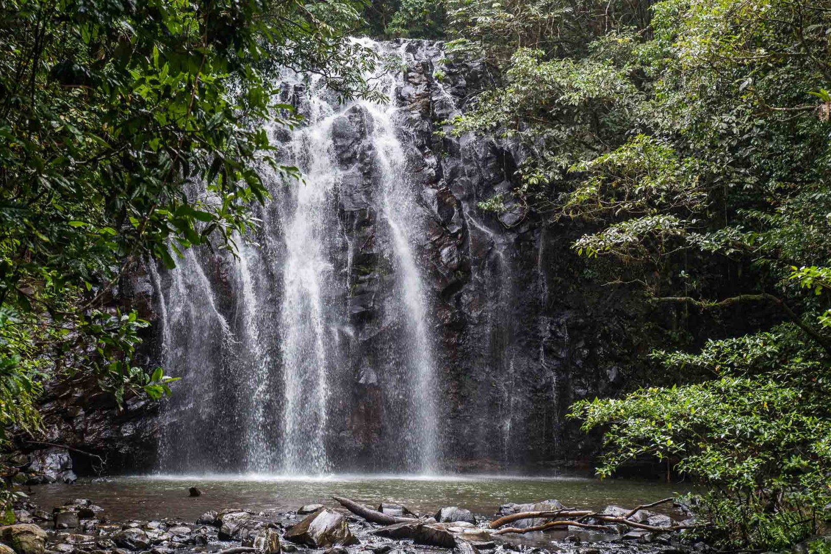 In zoomnh09 8 mai 2018 | 15h09