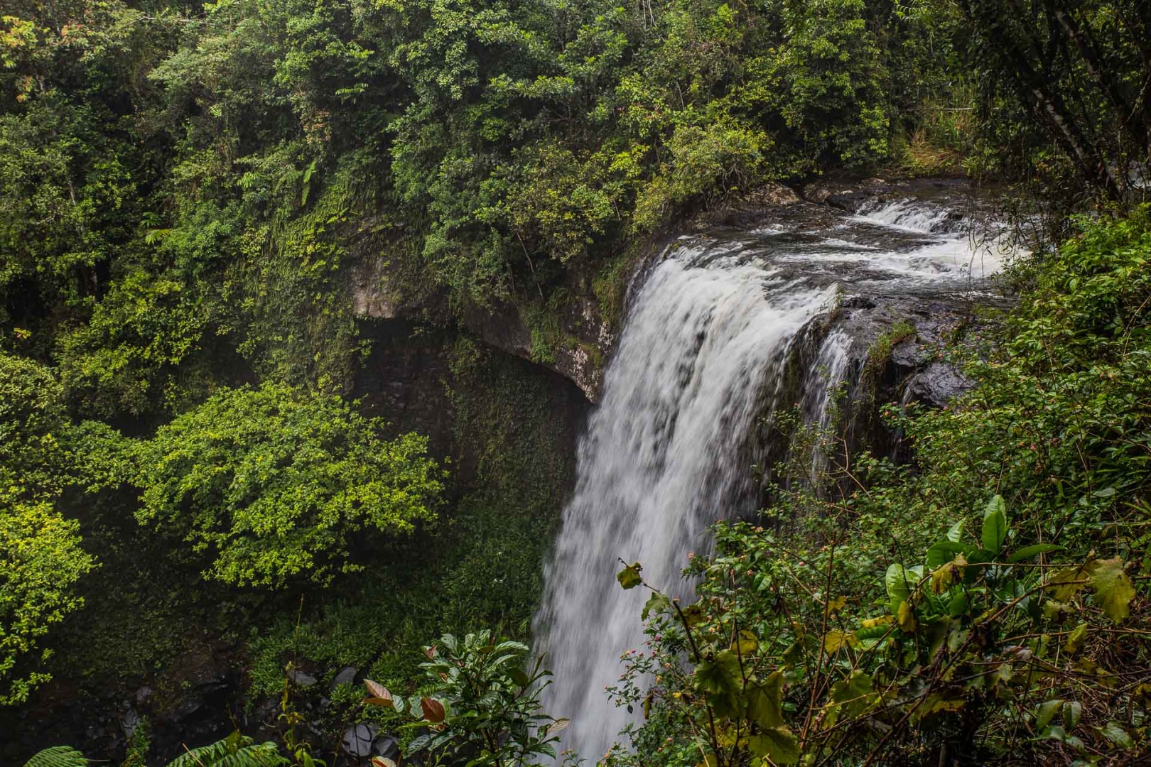 In zoomnH25 8 mai 2018 | 15h25