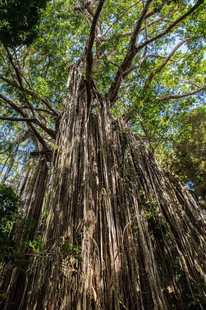 In zoomnh29 9 mai 2018 | 10h29