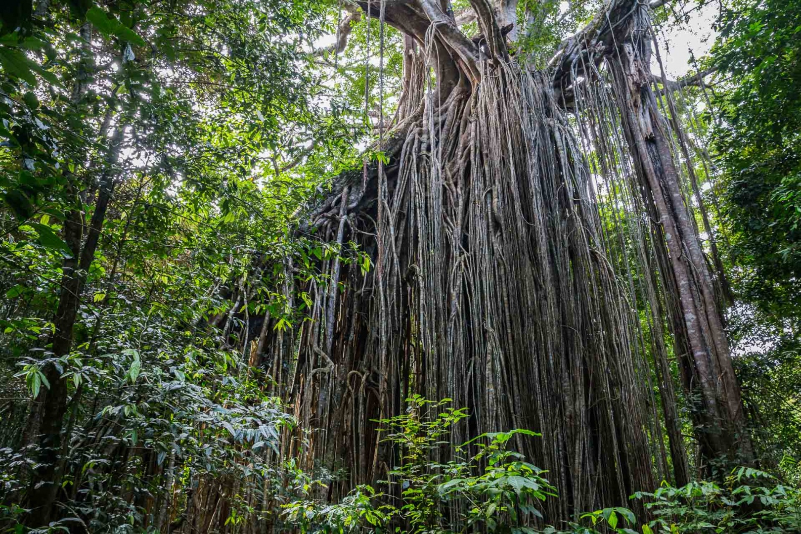 In zoomnh34 9 mai 2018 | 10h34