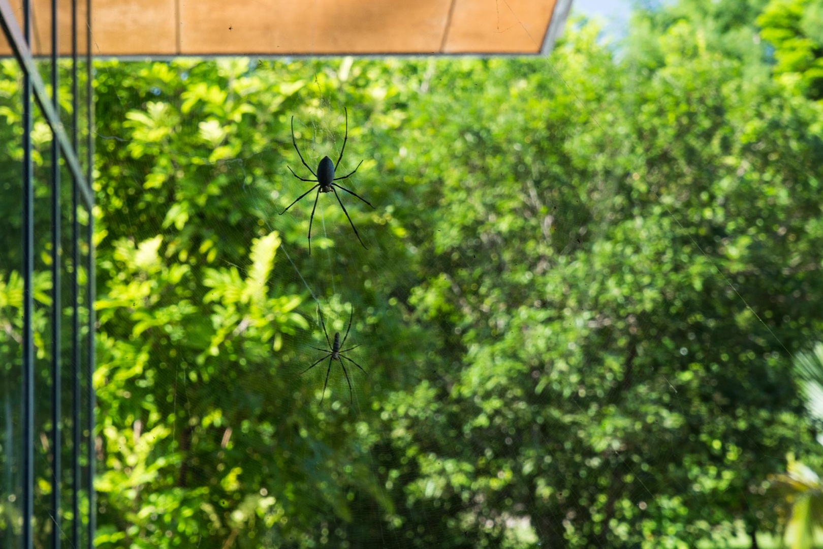 Im zoomnH10 14 mai 2018| 10h10