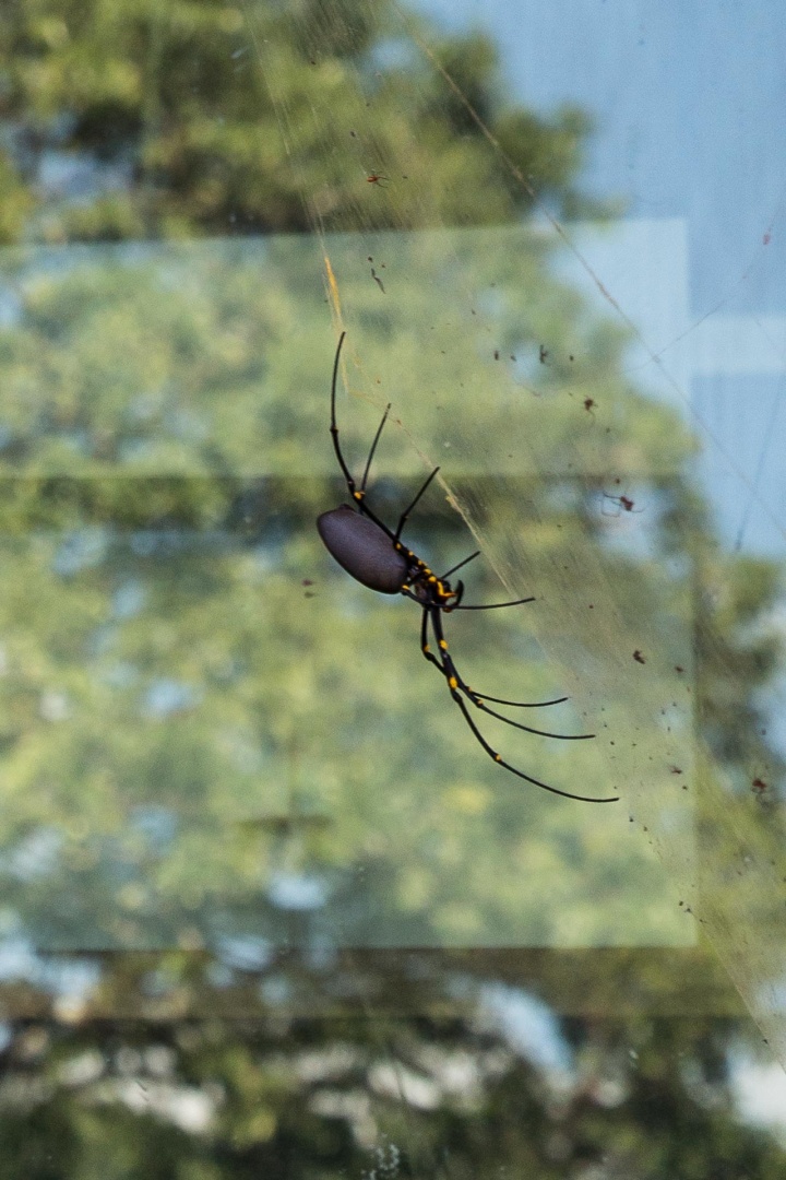 Im zoomnH11 14 mai 2018 | 10h11