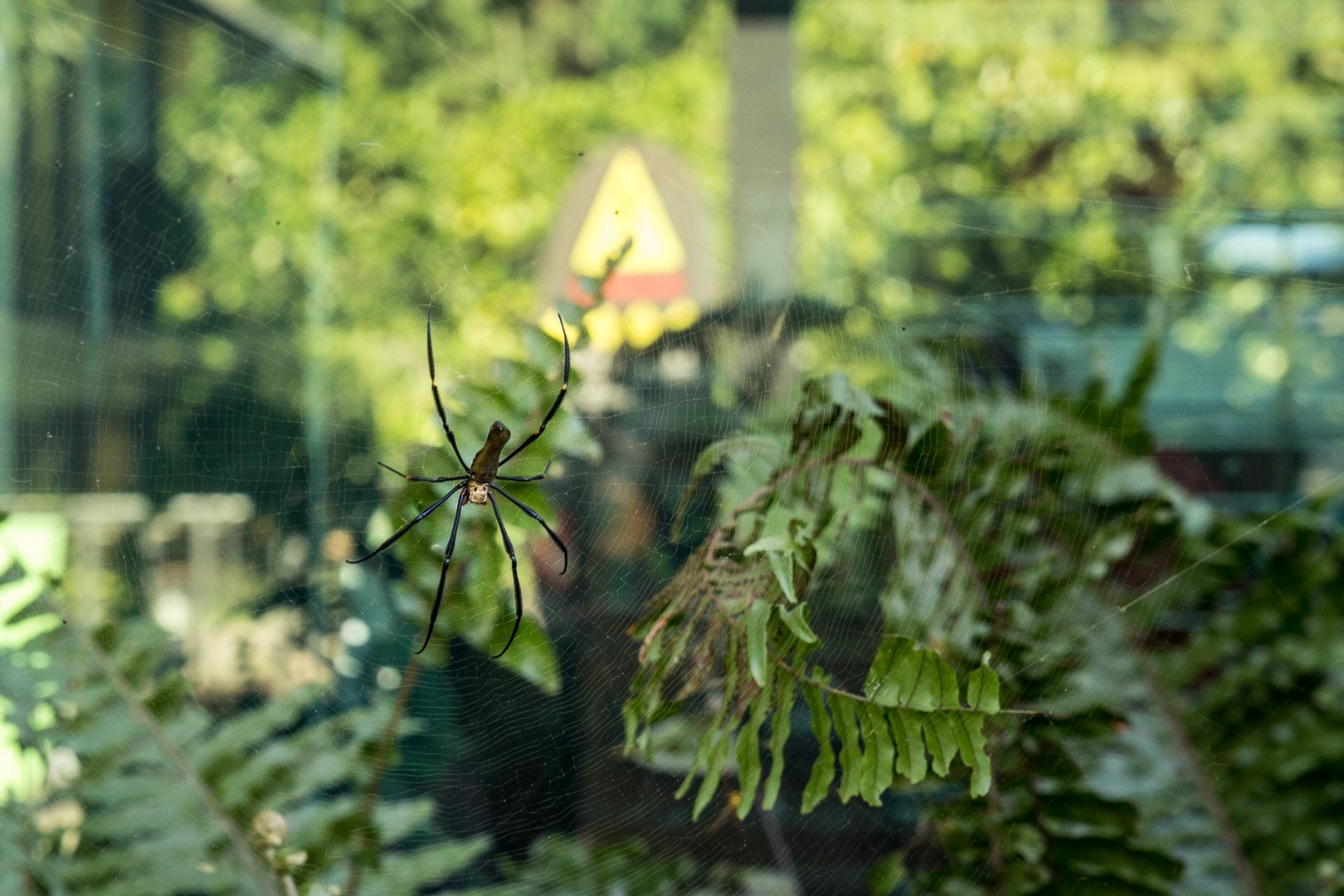 Im zoomnH12 14 mai 2018 | 10h12