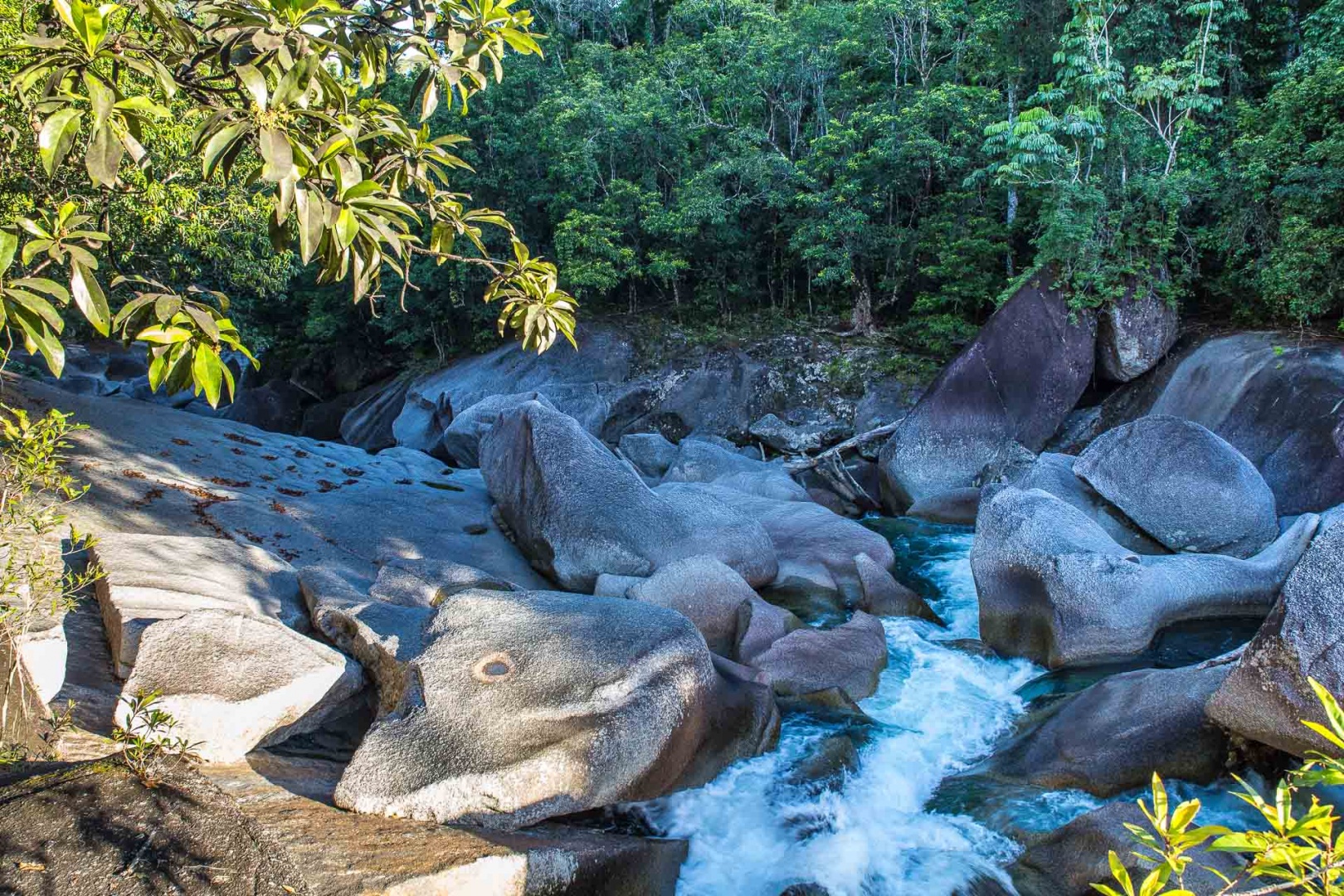 Im zoomnH39 14 mai 2018 | 16h39