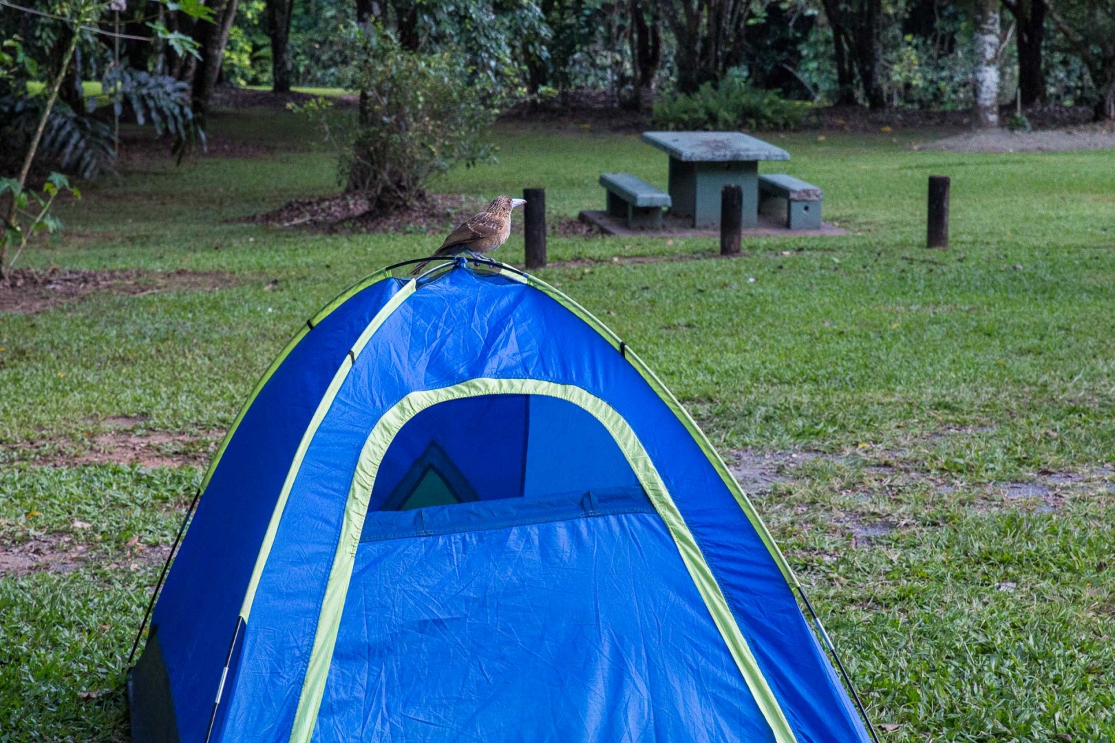 Im zoomnH29 14 mai 2018 | 17h29