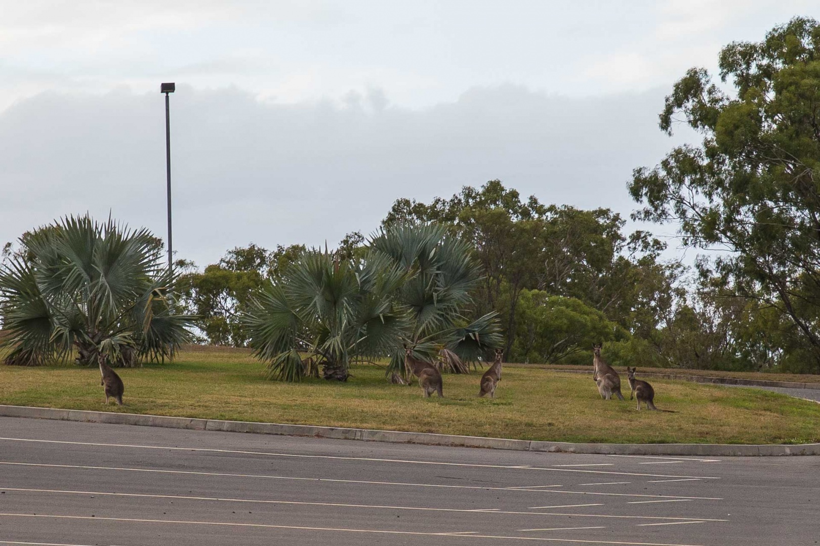 Zoom in 17 mai 2018 | 16h24