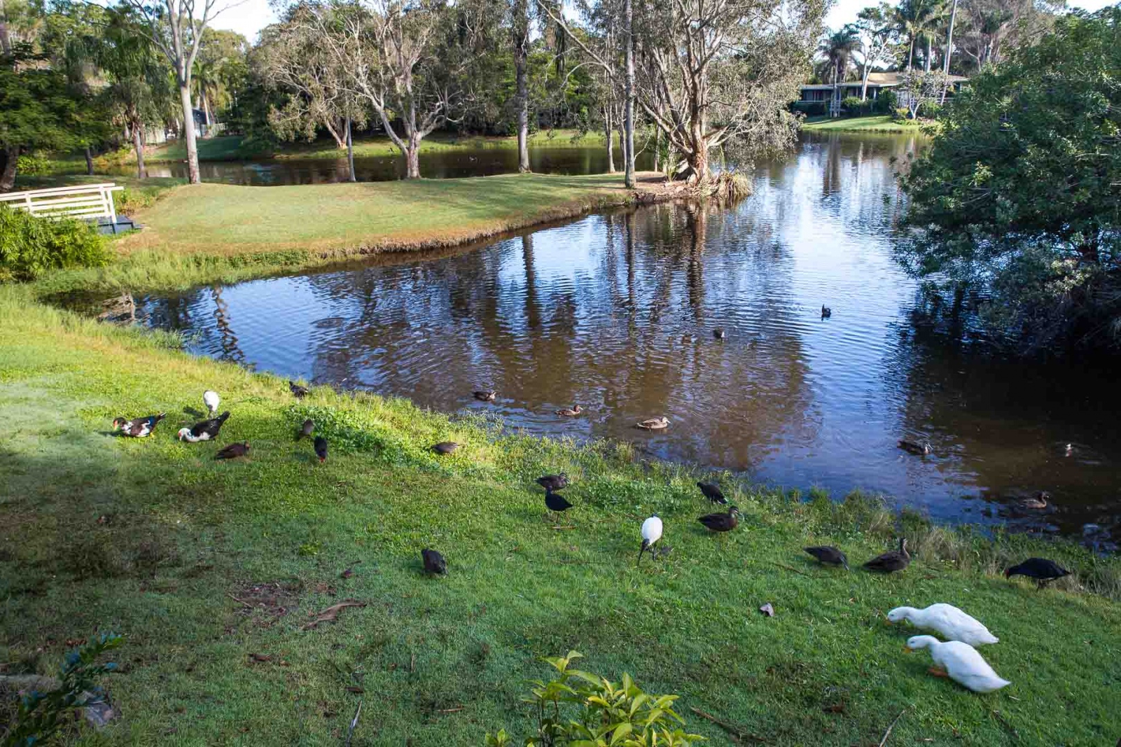 Im zoomnH58 20 mai 2018 | 8h58