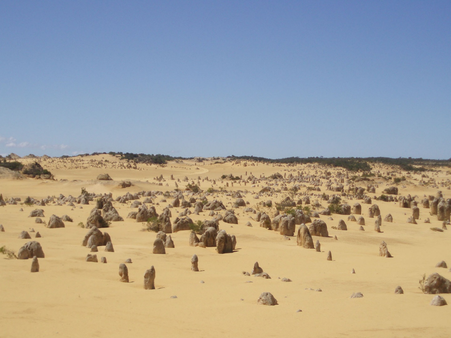 Im zoommber 12 décembre 2008 | 11h06