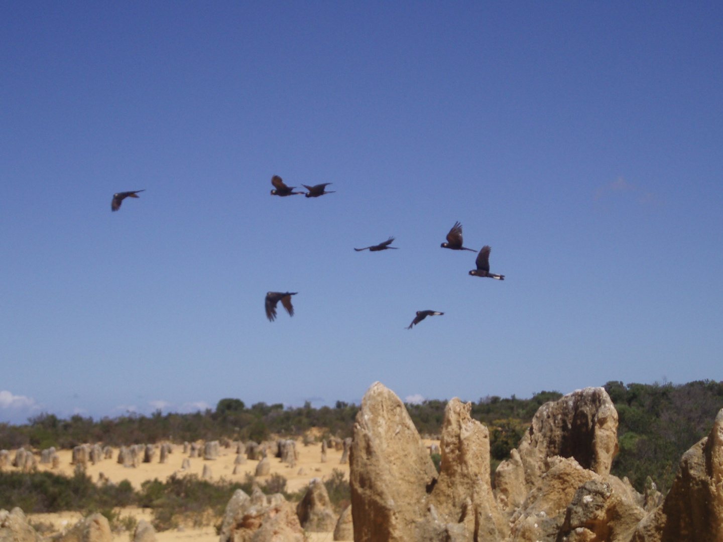 Im zoommber 12 décembre 2008 | 11h23