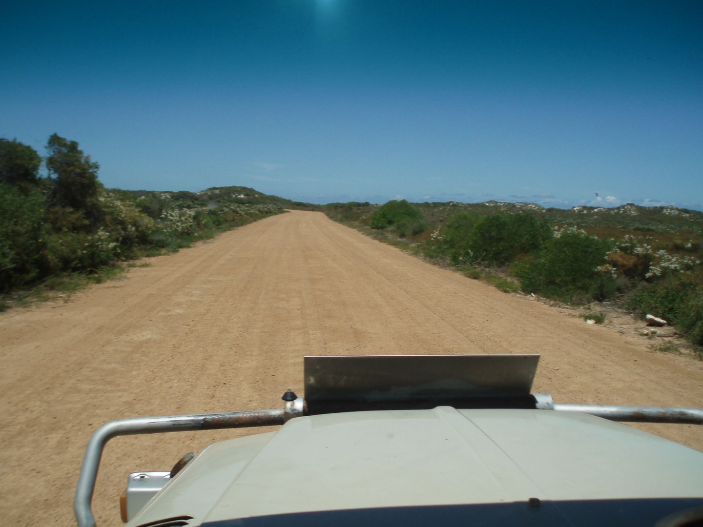 Im zoommber 12 décembre 2008 | 12h16