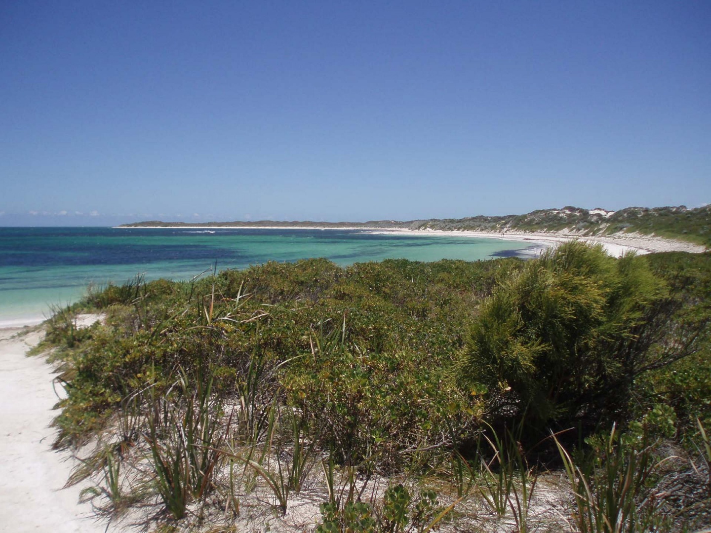 Im zoommber 12 décembre 2008 | 12h19