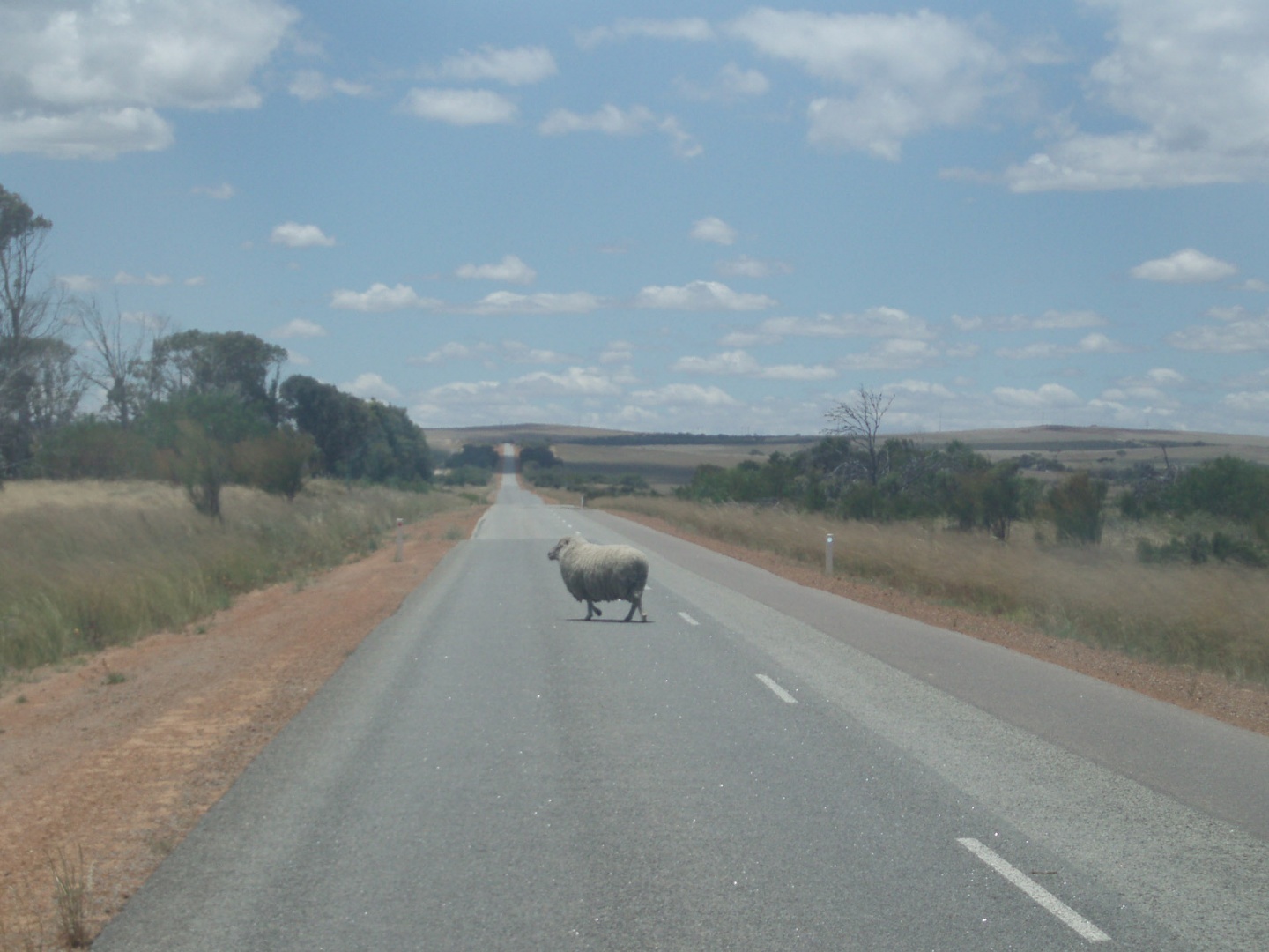 Im zoommber 12 décembre 2008 | 13h06