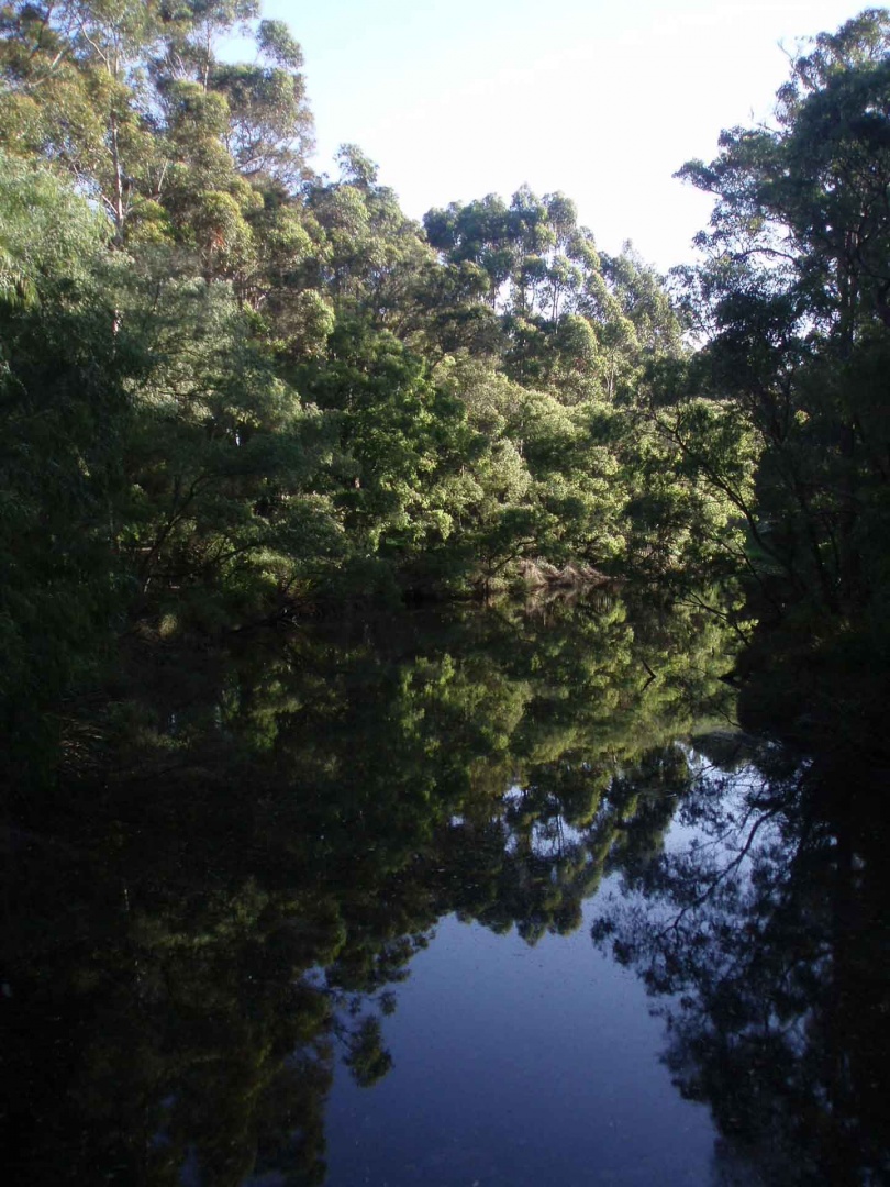 Acercarseembretos 14 décembre 2008 | 18h49